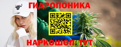 spice Кимры