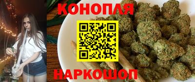 МДПВ Кингисепп