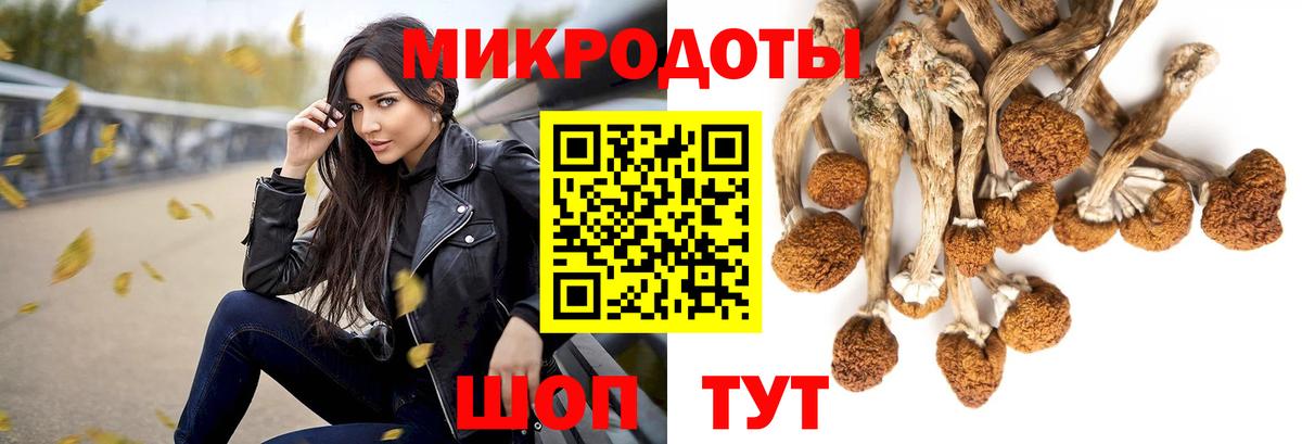Вологда  Галлюциногенные грибы прущие грибы  Галлюциногенные грибы ЛСД  Вход с VPN 
